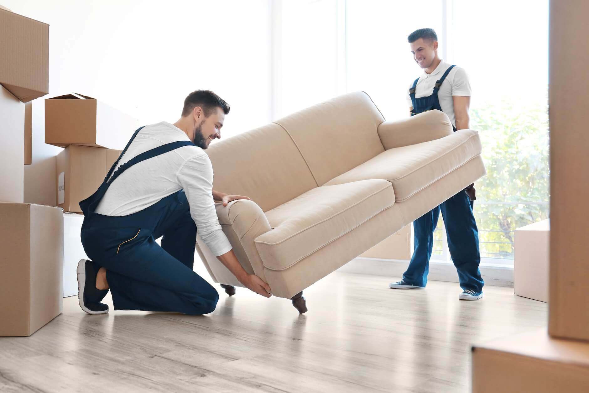 fantastic movers colorado